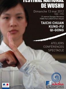 festival-national-de-wushu-arts-energetiques-et-martiaux-chinois-51216